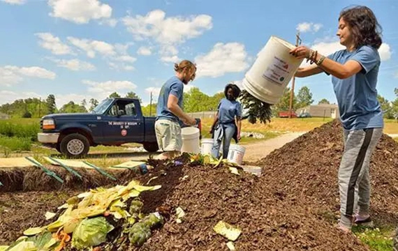 decompose in landfills