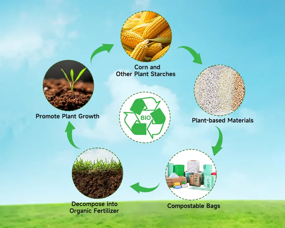 Life cycle of compostable bags