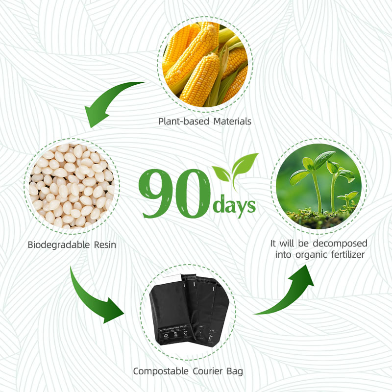 The lifecycle of compostable bags