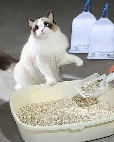 compostable cat litter bag